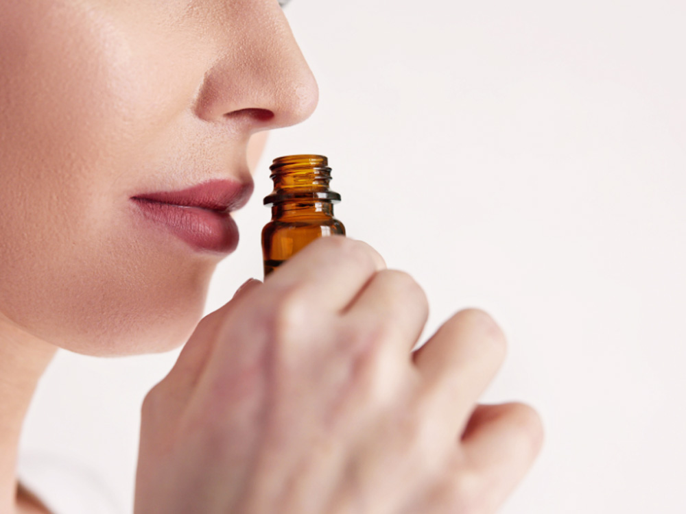 香木「伽羅(きゃら)」とは?