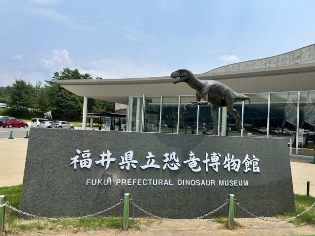 恐竜の化石はどこで見られる?
