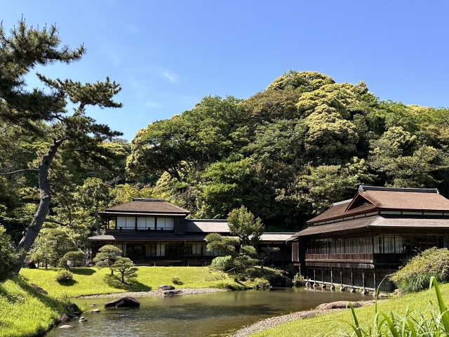 下村観山とはどんな人？