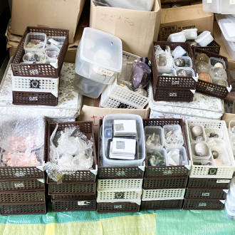 鑑賞石 化石 まとめて買取画像 大量コレクション画像
