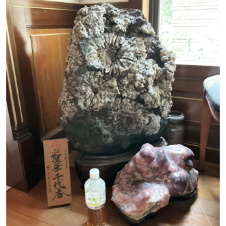 菊花石 買取画像 コレクション画像 鑑賞石